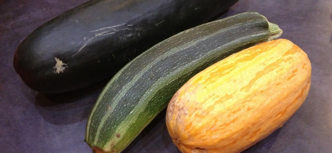 Zucchinis galore! Zucchinis galore!