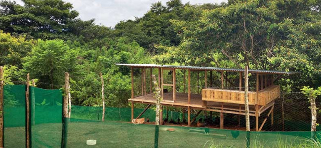 The “Cadillac of Chicken Coops” The “Cadillac of Chicken Coops”
