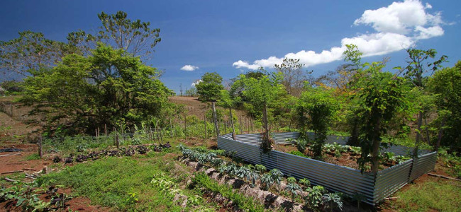 Living Shade Garden Unit Living Shade Garden Unit