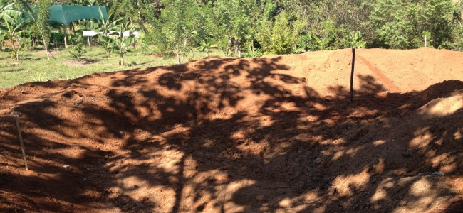 Coming Soon – The Tilapia Pools Coming Soon – The Tilapia Pools