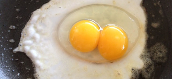 The Legendary Double Egg – Photographic Proof! The Legendary Double Egg – Photographic Proof!