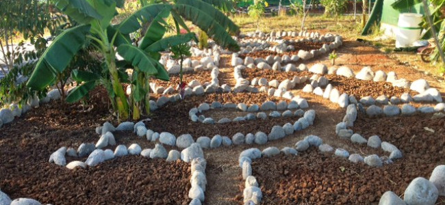 Making an Herb Garden – “Rockin’ It” – (Part III) Making an Herb Garden – “Rockin’ It” – (Part III)