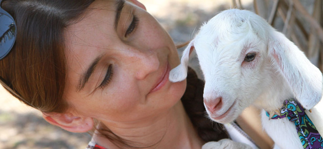 Estrellita, Our Baby Goat Estrellita, Our Baby Goat