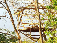 Icosahedron Treehouse Construction Icosahedron Treehouse Construction