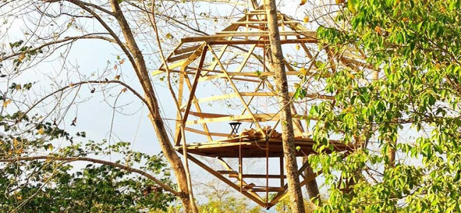 Icosahedron Treehouse Construction