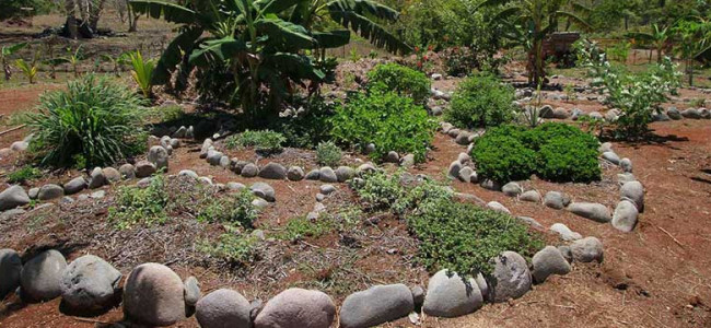 Mandala Keyhole Garden