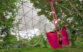 Geodesic Dome Geodesic Dome