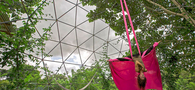 Geodesic Dome Geodesic Dome