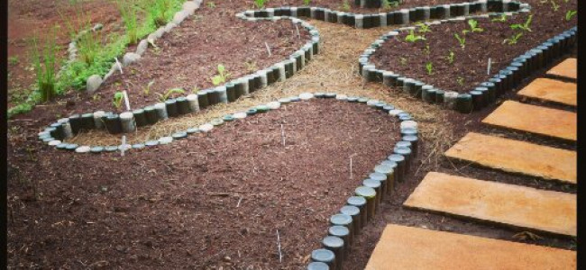 Volunteer Garden Volunteer Garden