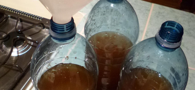 Water Kefir Soda Water Kefir Soda