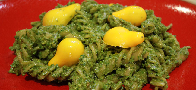 Purslane Basil Pesto Purslane Basil Pesto