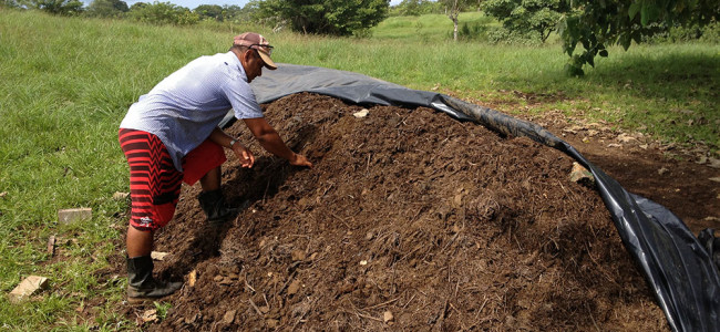 How to Make Soil for Growing Plants – Part 2 How to Make Soil for Growing Plants – Part 2