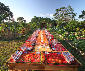 Farm to Table Dinners