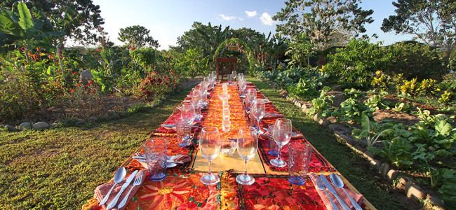 Farm to Table Dinners Farm to Table Dinners