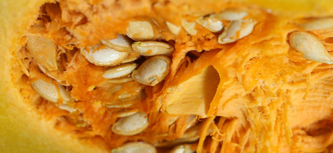 Edible Nuts and Seeds that Grow in the Tropics Edible Nuts and Seeds that Grow in the Tropics
