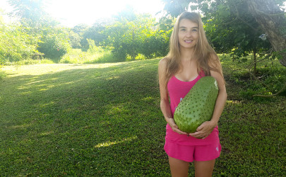 We Grew Guinness Record Breaking Soursop We Grew Guinness Record Breaking Soursop