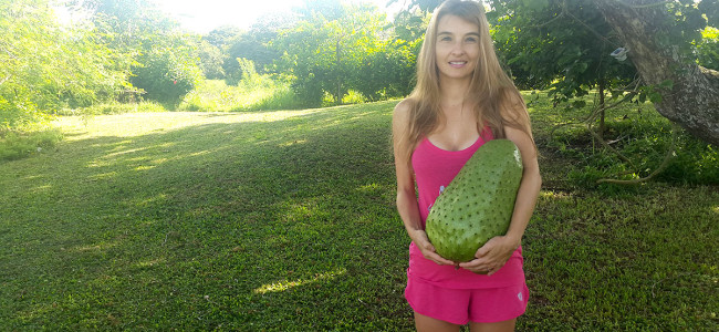 We Grew Guinness Record Breaking Soursop We Grew Guinness Record Breaking Soursop