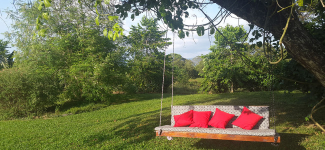 Photos of the Farm Photos of the Farm