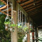 Hanging Bottles Garden