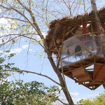 Best Treehouse in the World