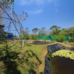 Tilapia Pond and dome