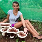 Huge mushrooms with girl