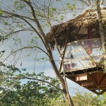 Montezuma Treehouse