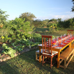 Farm to Table Dinner